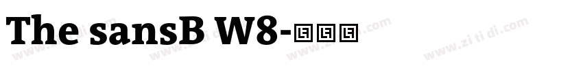 The sansB W8字体转换